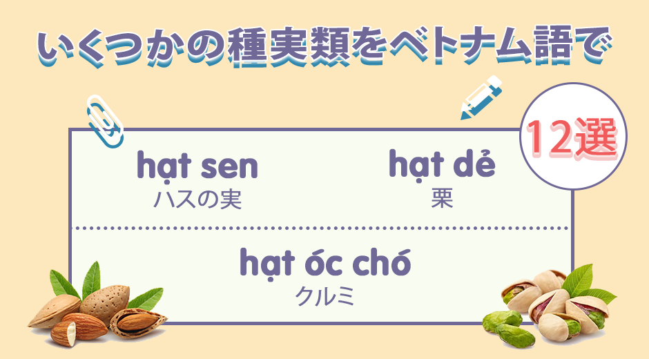 ベトナム語単語 ベトナム語での種実類の名前 動画付き